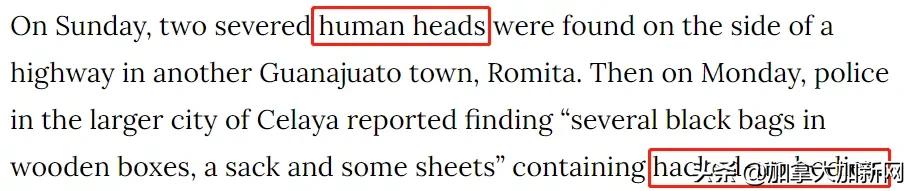 疫情下旅游胜地成杀人天堂32人死温哥华富豪尸体被冲上海滩