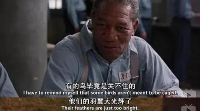 人生必看的15部电影,推荐人生必看的五部电影