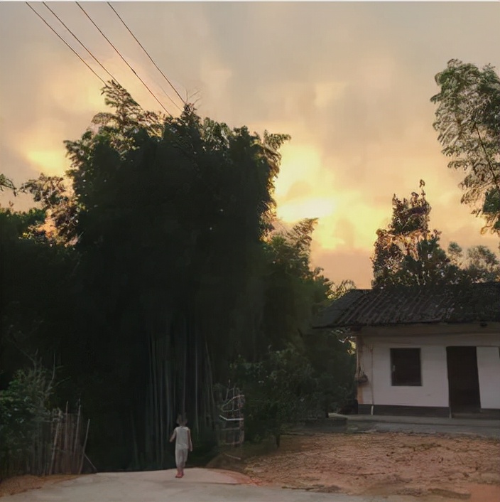 奶奶炖的鸡汤,老奶奶做的清炖鸡汤