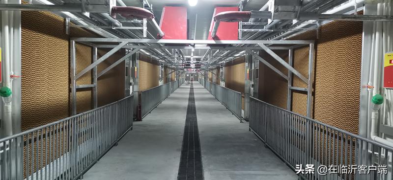 猪命贵！涨价的背后：生猪养殖行业的利润史无前例，屠宰企业赔钱来满足市场供应，屠宰一头猪赔100元左右