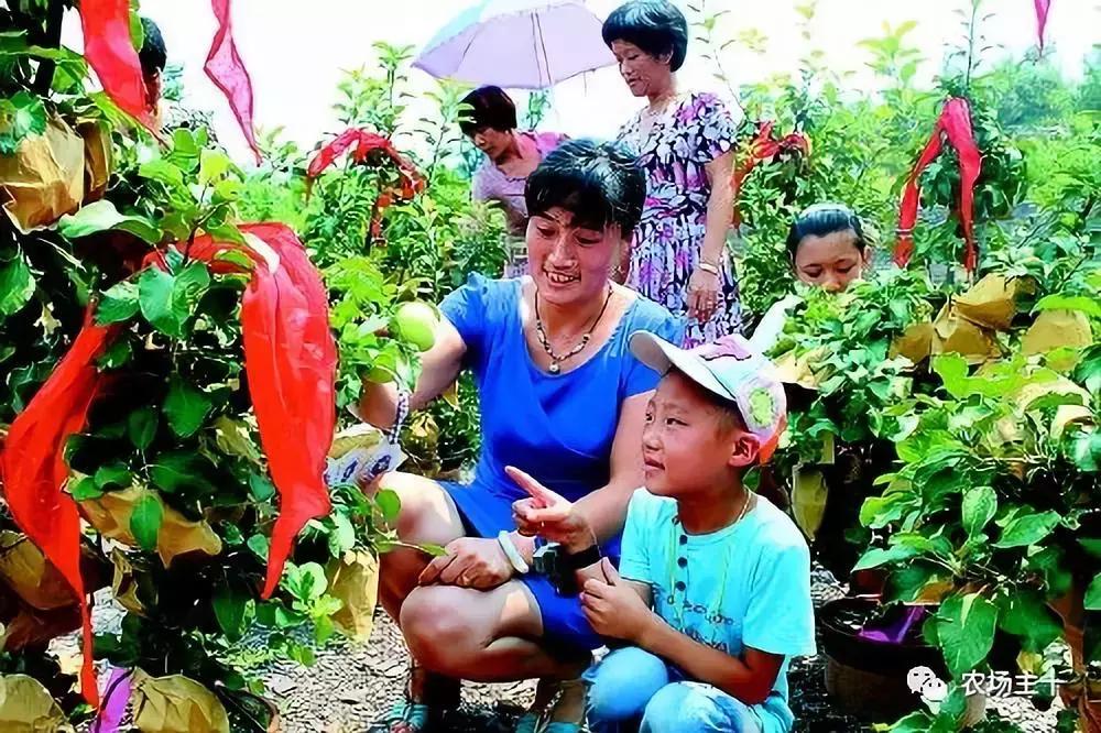 农村项目小本创业,农村一千元小本创业加盟