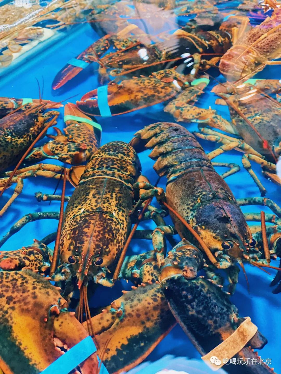 朝阳区海鲜市场,北京朝阳区海鲜市场
