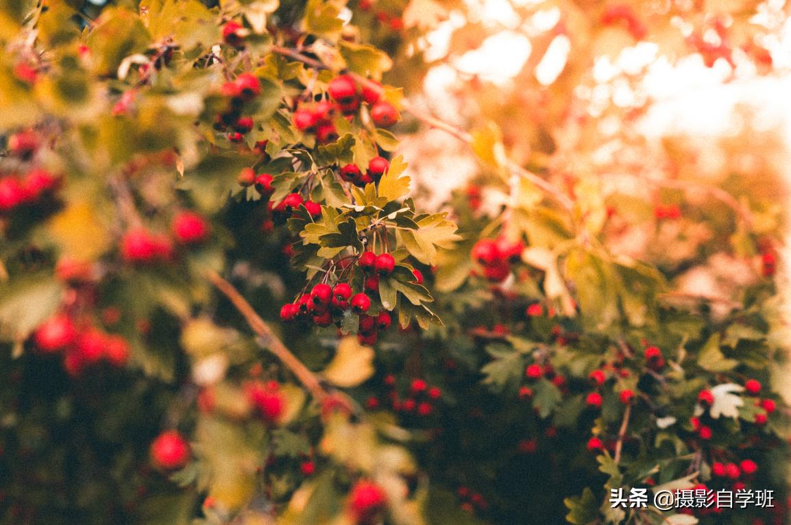 夕阳拍摄技巧手机,手机拍夕阳人像技巧是什么