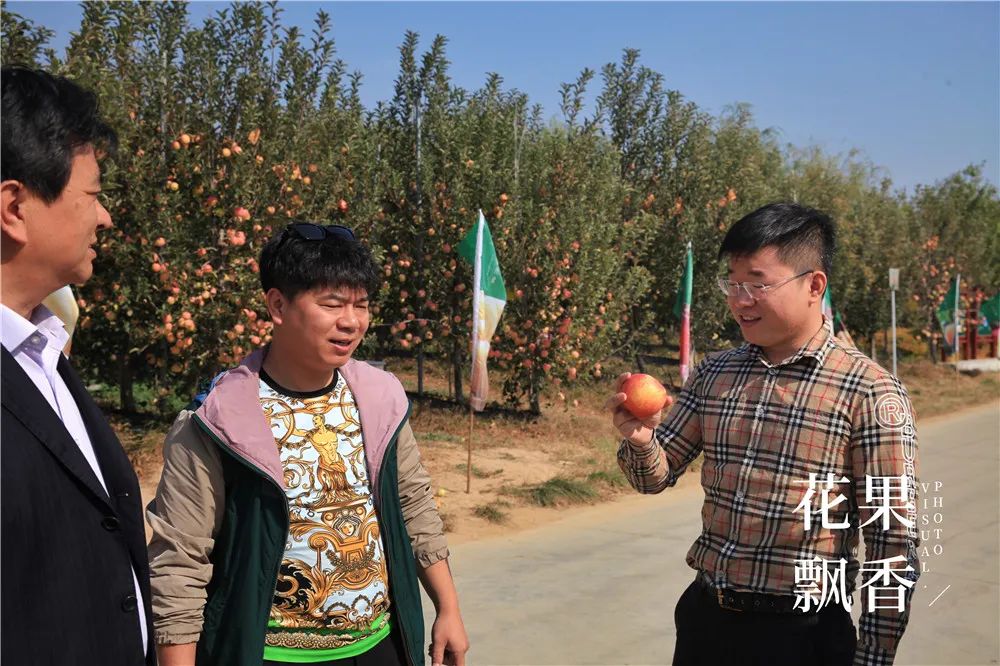 一箱鲜橙多利润,一箱水果利润多少