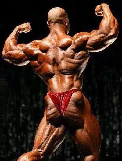 健美先生菲尔希斯的日常饮食计划,菲尔西斯胸肌训练