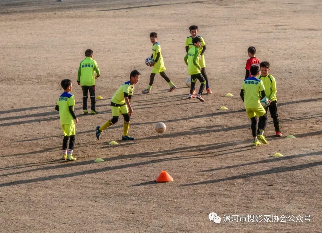 抗击新冠疫情专题展,抗击疫情专题展开展