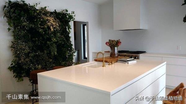 室内墙壁软装搭配效果图,室内墙仿真植物软装搭配