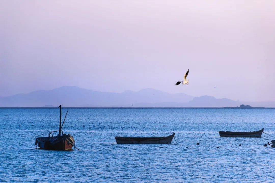 比三亚便宜的海边小城,比三亚便宜的海滨慢城