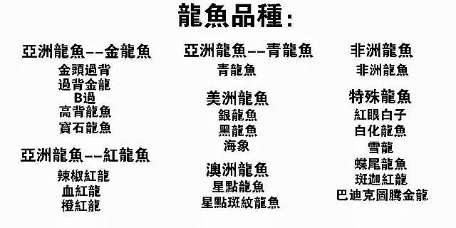 龙鱼混养品种推荐,龙鱼品种大全