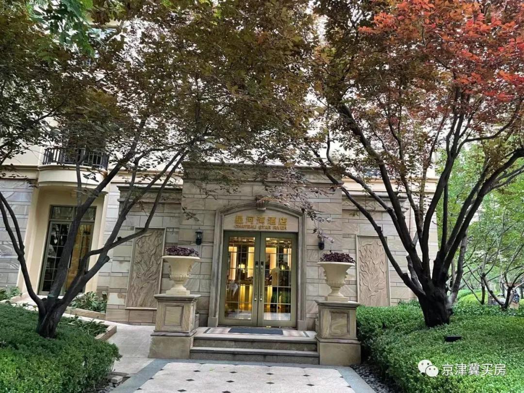 朝青2018年价格,朝青价格走势