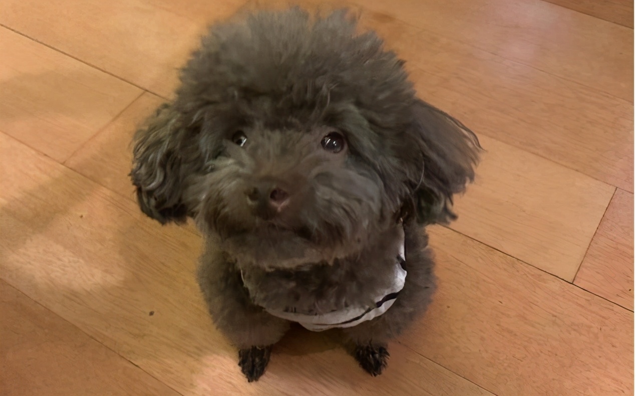 再生气也不能打孩子的几个部位,再生气都不能打的三个部位