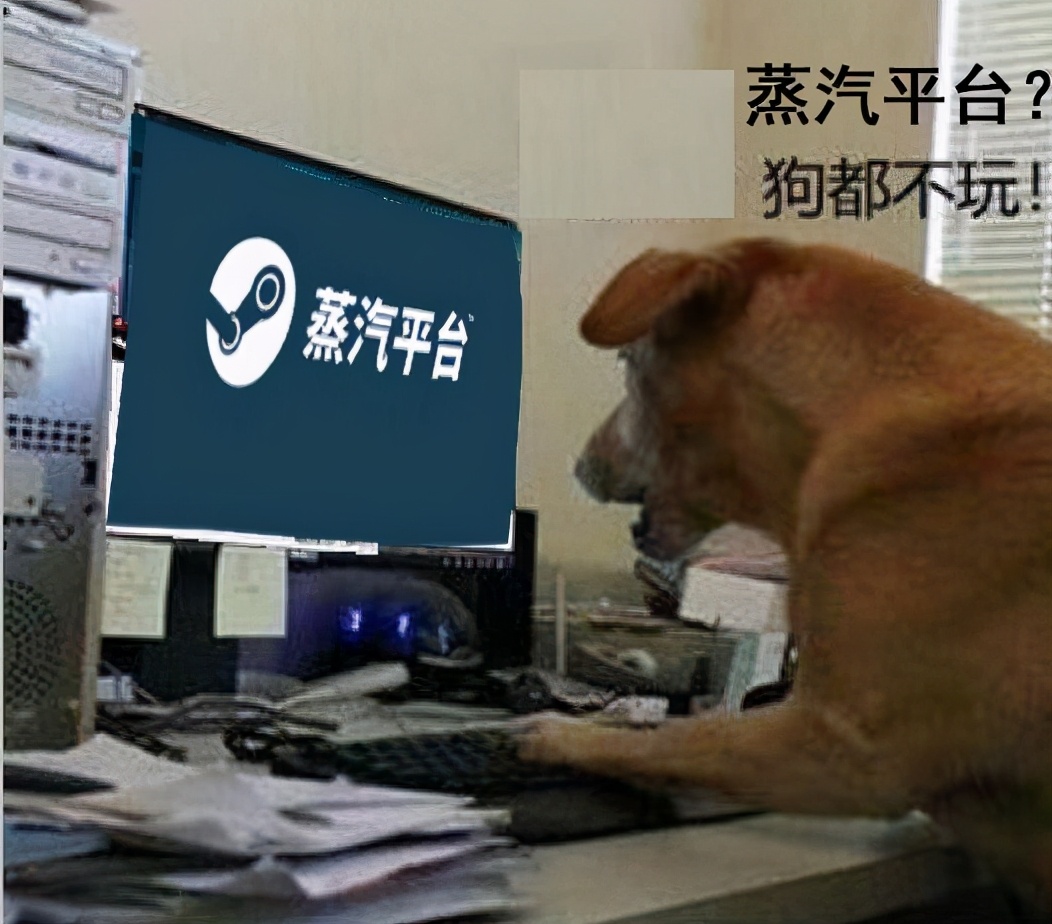 steam中国是什么意思,steam为什么这么多破事儿