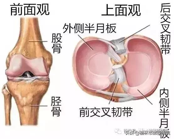 内侧半月板后角损伤怎么治疗,prp治疗半月板损伤有用吗