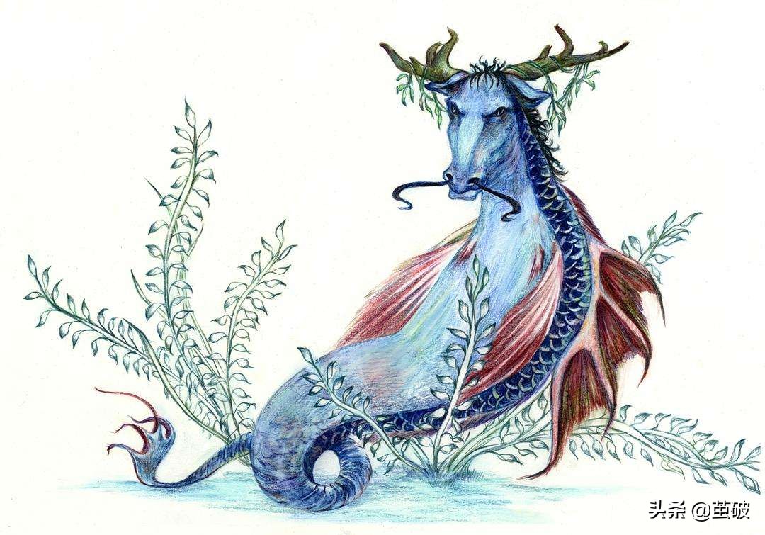 长得像牦牛一样的鱼，不仅冬眠，还能治疗毒疮，也就只有这里存在