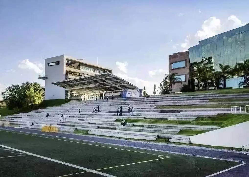 专业体育场设计方案,大型室内体育馆设计平面