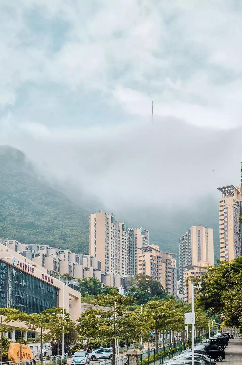 附近莲塘,附近的莲塘