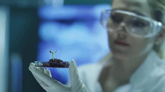 沙特建设沙漠公园,沙特5000亿美元沙漠造新城现状