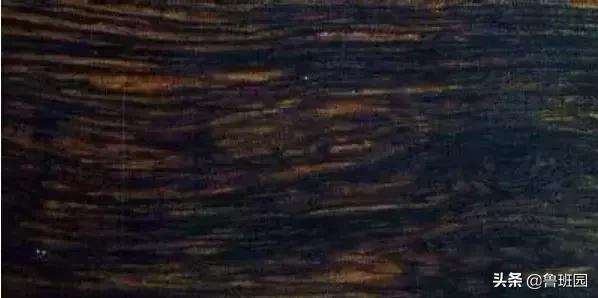 花梨木有哪几种木材,花梨木的十种鉴别方法