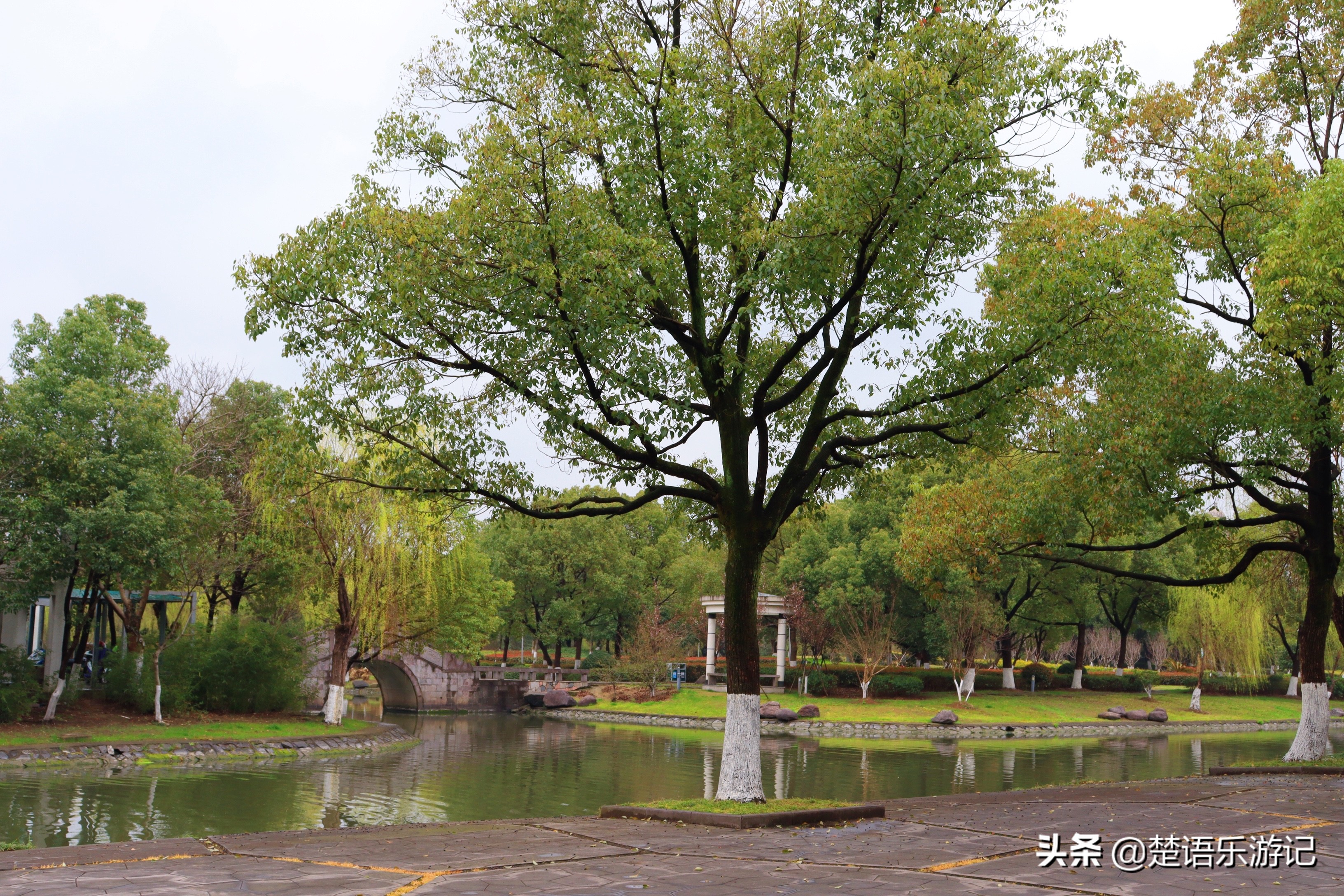 宁波免费的公园有哪些,宁波值得去的公园排行榜