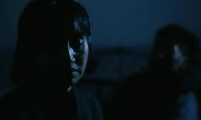 李冰冰警察电影老片子,李冰冰国产电影