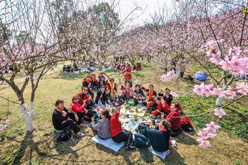 成都市秀丽东方,成都秀丽东方还在开放吗