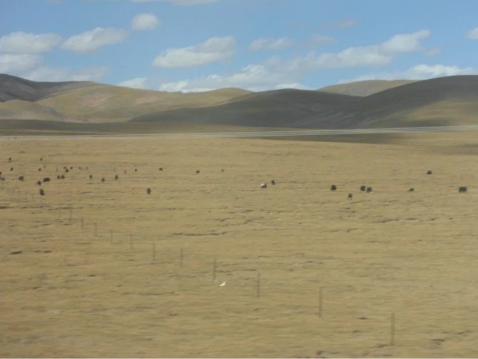 女孩独自一个人去旅游的心理,独自一人去西藏在哪里最好