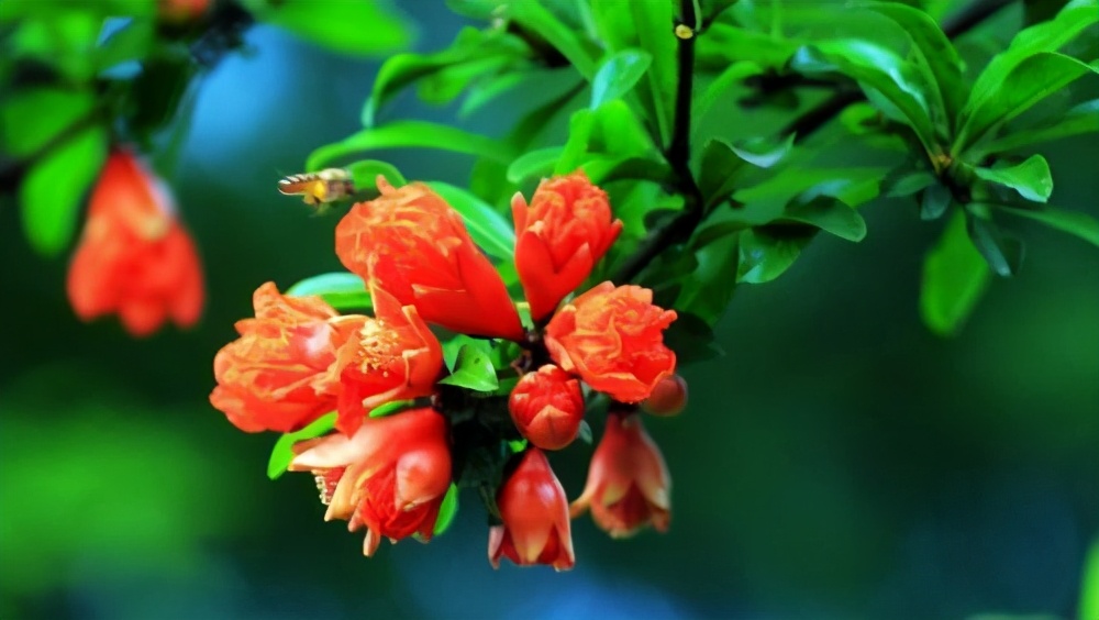 却给人澄净清冷之感的李白名句,李白写的古诗四句简单