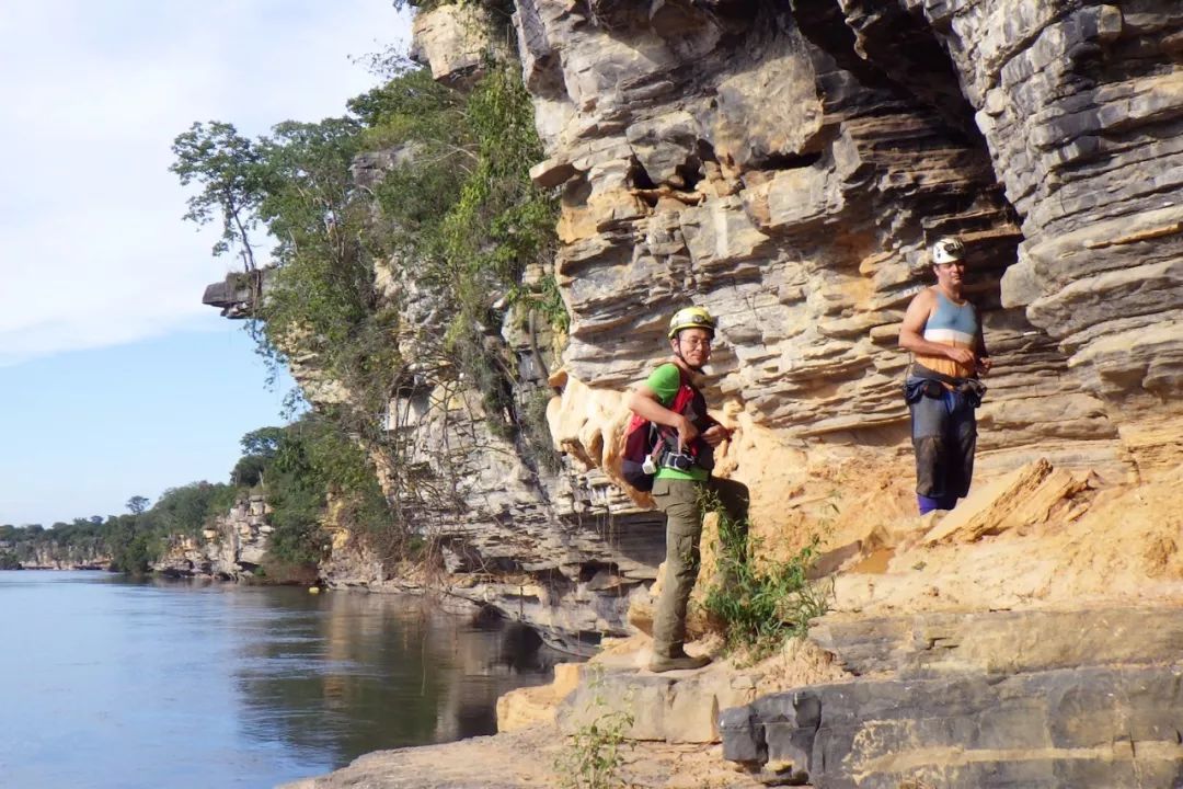会变装的昆虫,性别反转的物种