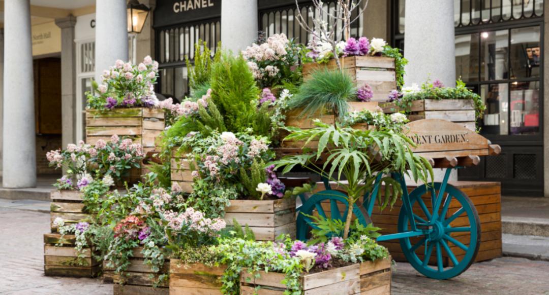 伦敦政经lse怎么申请,英国伦敦政经学院qs排名