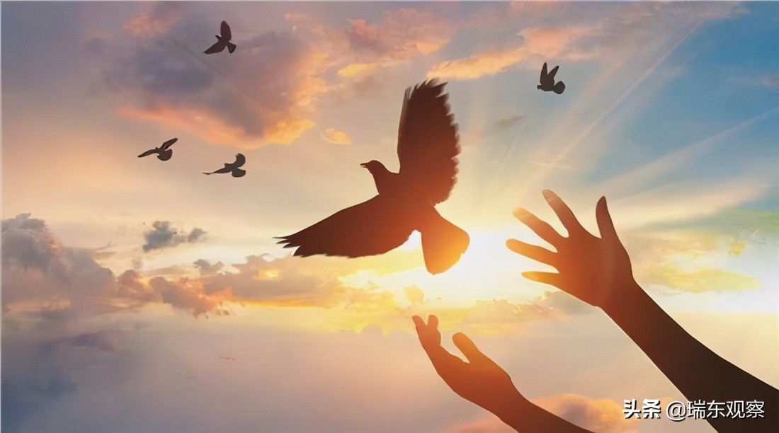 持剑经商的意思,持剑经商