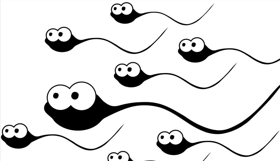 一滴精=十滴血，“精尽人亡”会发生吗？建议男女都了解清楚