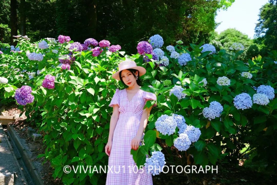 冈山和岛根,发现不一样的风景