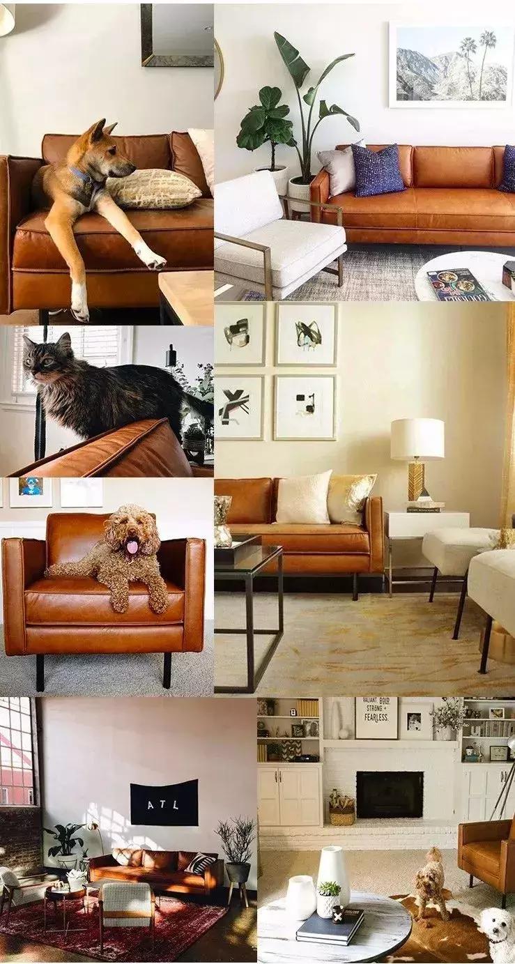 网购家具隐患,买家具雷区