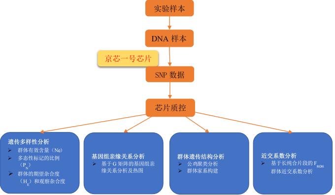 福建这种鸡清乾隆年间就开始饲养，是滋补身体的传统良药