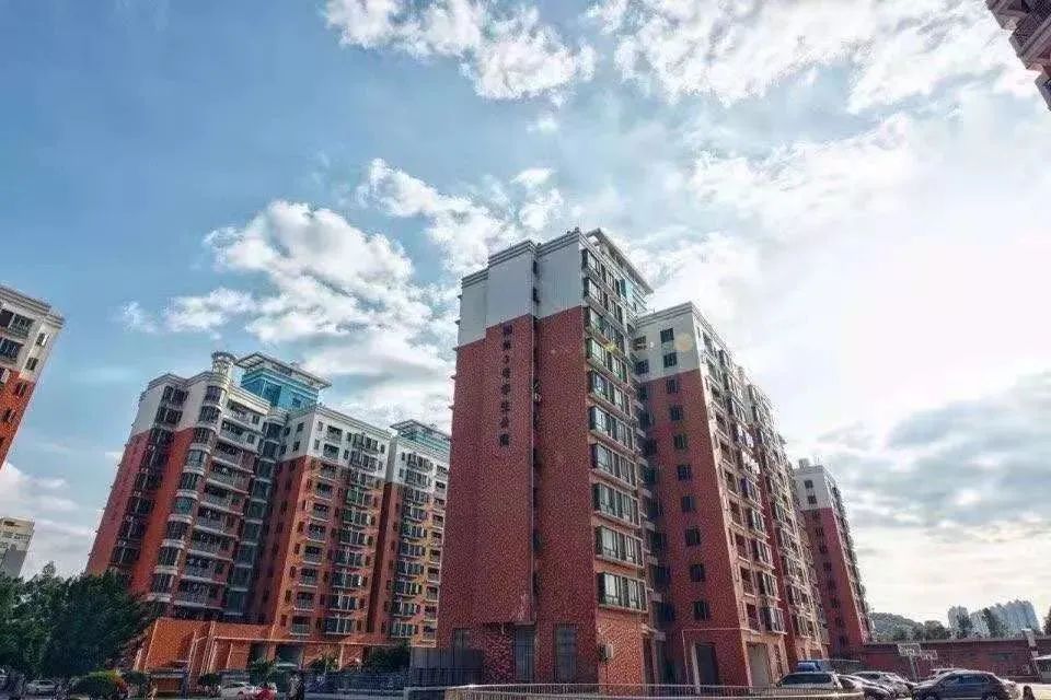 广东科技学院有没有高职专业,广东科技学院高职高考学费