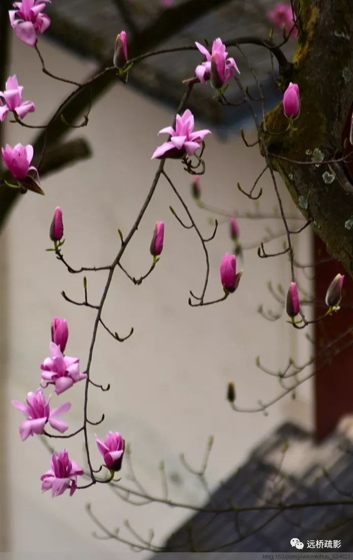 药王谷里觅旧迹（原图文）