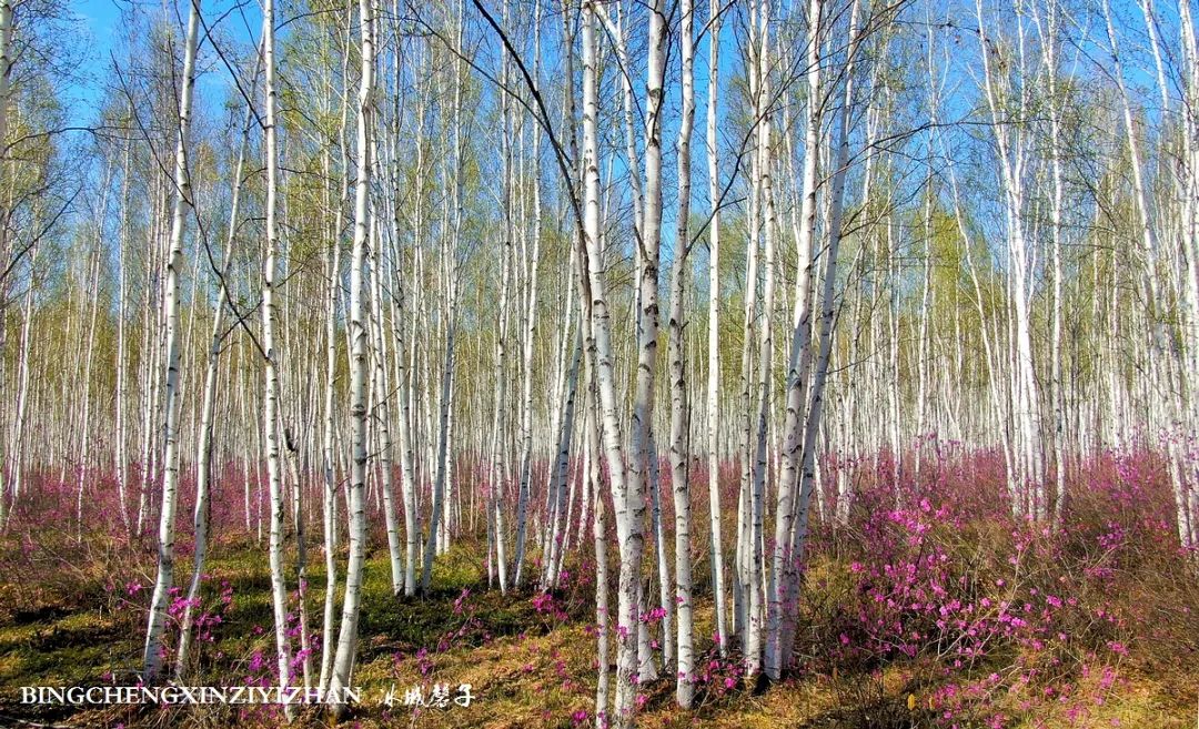 寻找中国最美的春季,探寻中国最美秘境