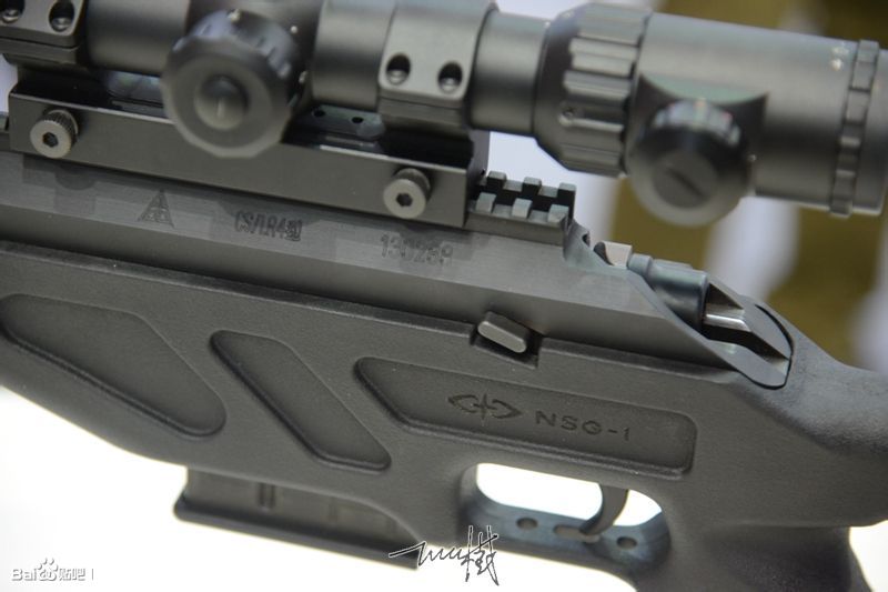 国产十大冷门狙击枪,国产高精狙cs-lr13