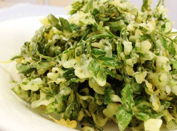 鑸屽皷涓婄殑缇庡懗瀵绘壘,鑸屽皷涓婄殑灞辩弽鍛抽亾