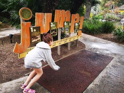 长隆度假区真实测评,长隆测试