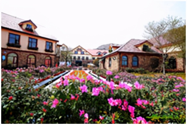 冬日青岛周边自驾推荐,青岛周边自驾游4-5天最佳路线