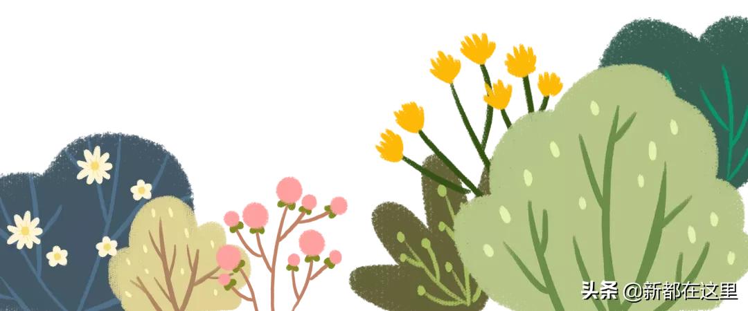 新都乘坐地铁,新都怎么乘坐公交车便宜点