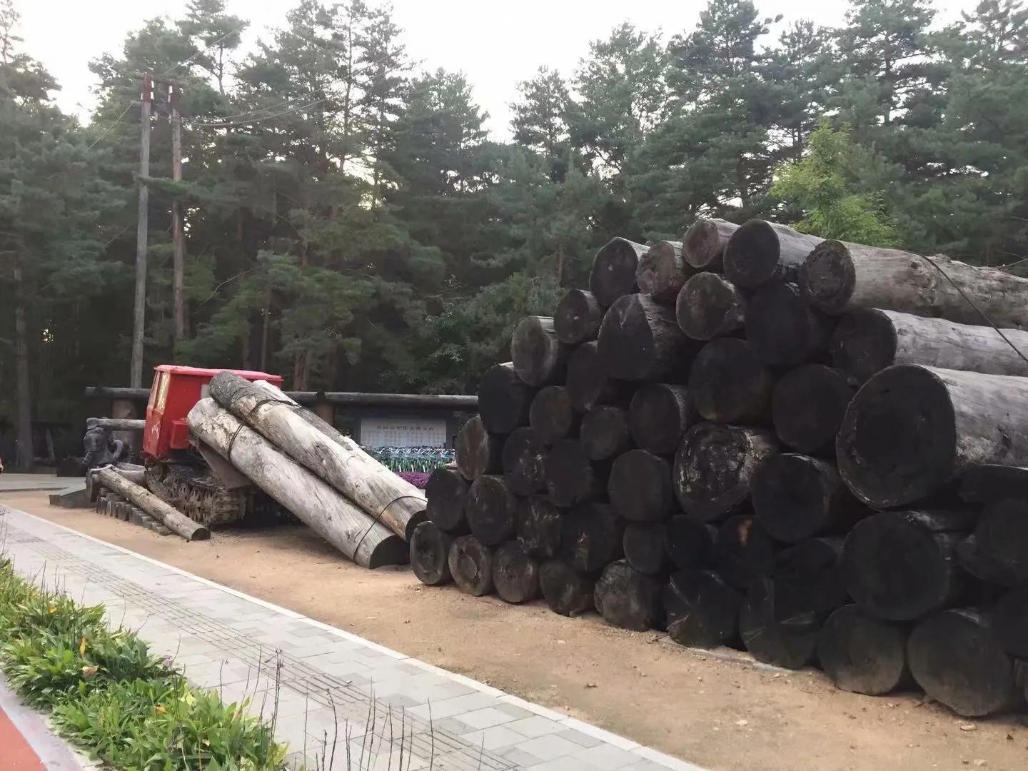 告别白河镇，来到松江河（44）