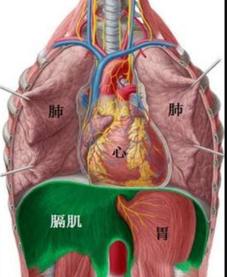 你的核心有多重,你的核心在哪里