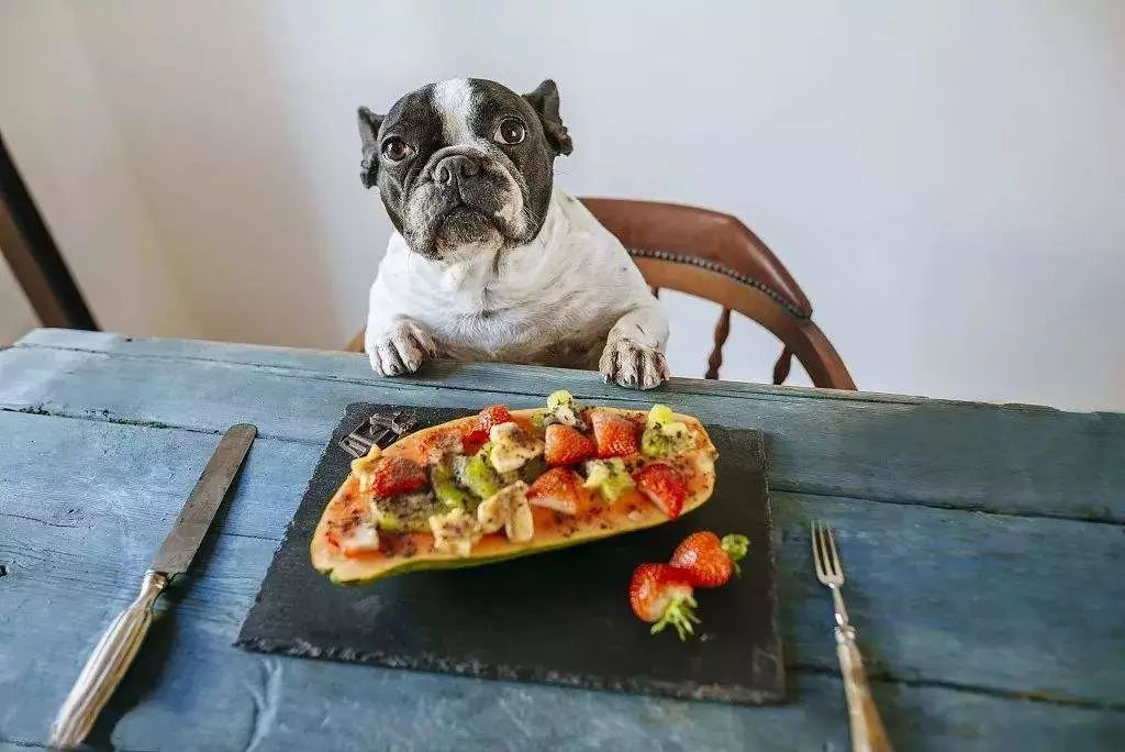 狗狗的食盐摄入量,狗狗每天摄入多少食盐合适