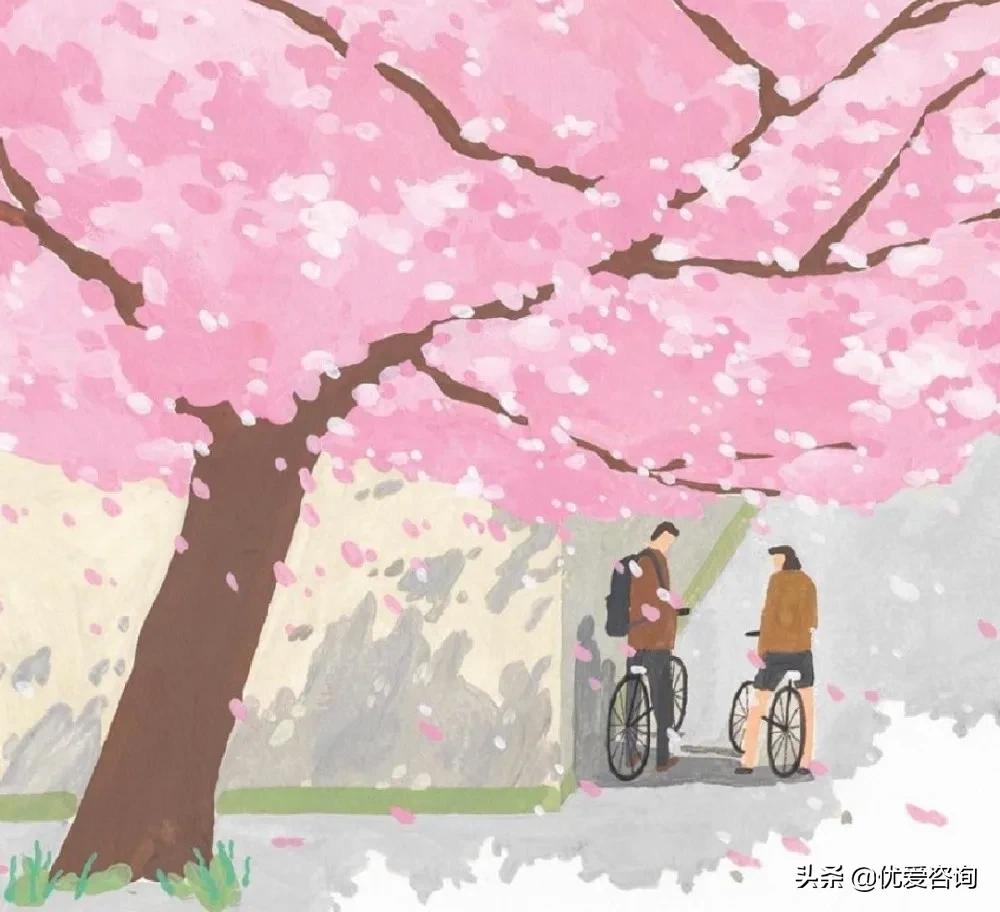 假怀孕挽回成功案例,可以用假怀孕挽回前男友吗