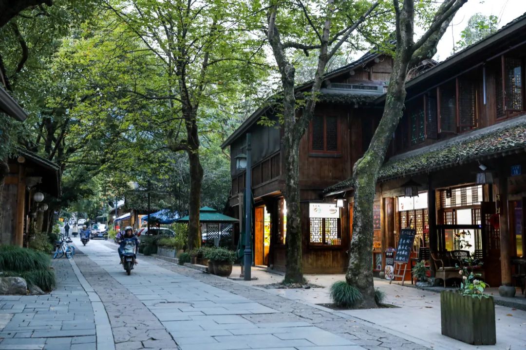 秋天值得逛的地方,秋天最适合旅游的城市推荐