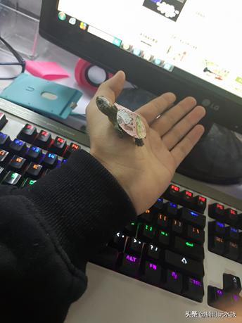 小乌龟怎么饲养小巴西龟,路边买的小乌龟怎么饲养