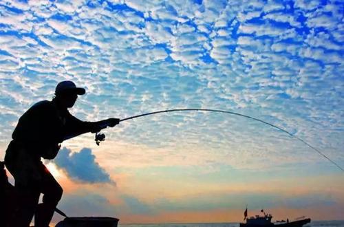 路亚竿选择看哪些指标,新手钓白条路亚竿怎么选择