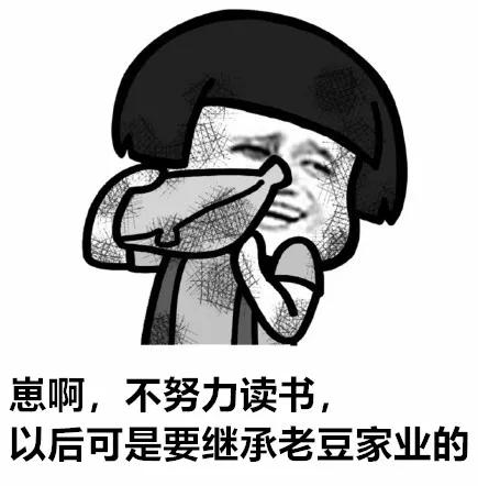 数学界的传奇,数学界有哪些传奇人物